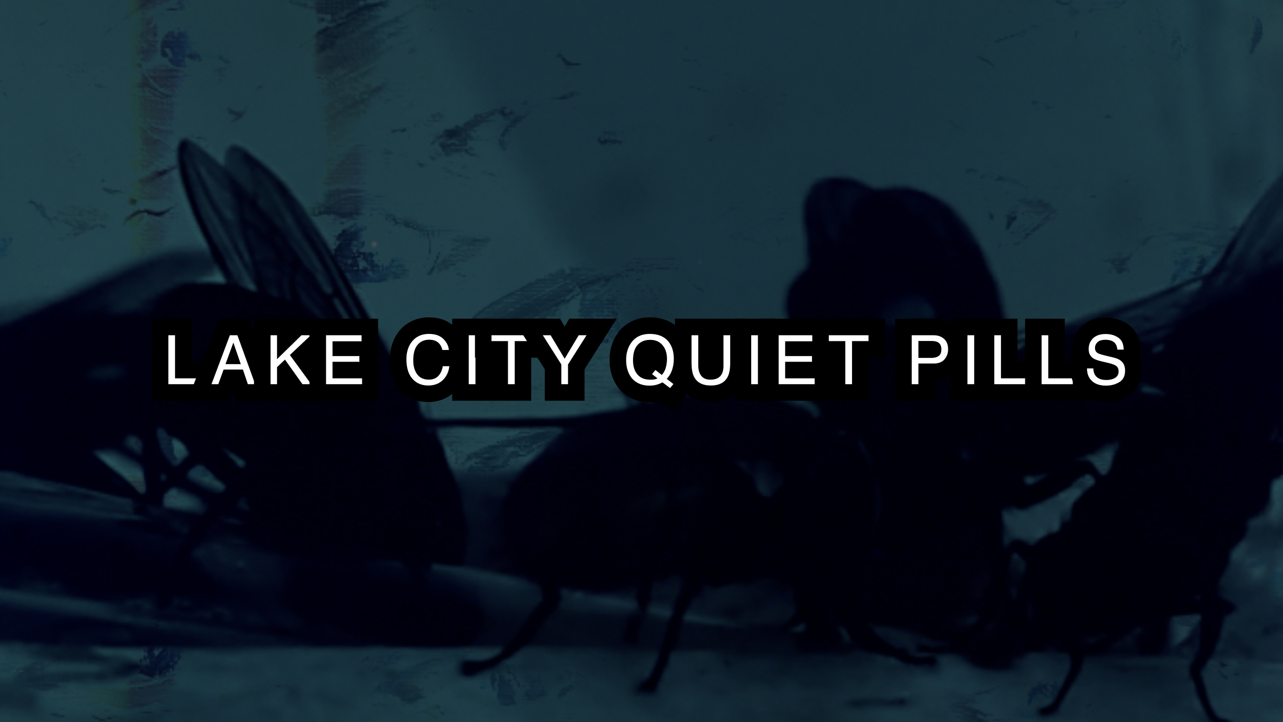 Animosity thumbnail